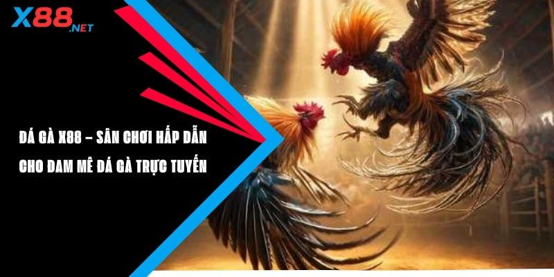 Đá Gà X88 – Trực Tiếp Thomo, Savan Cực Nét 2026