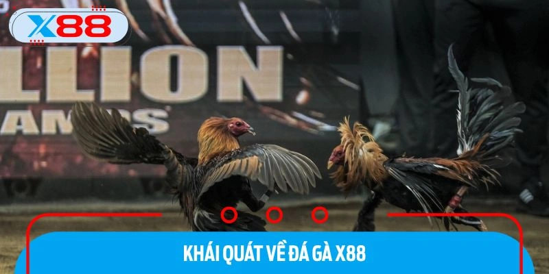Tổng quan về đá gà X88